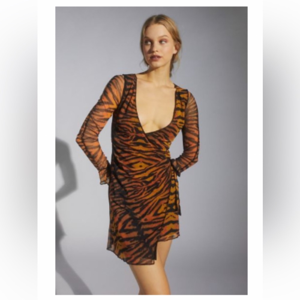 Animal Print V neck dress